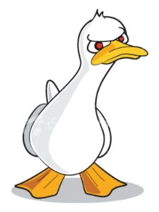 ist2_3437923-angry-duck-cartoon
